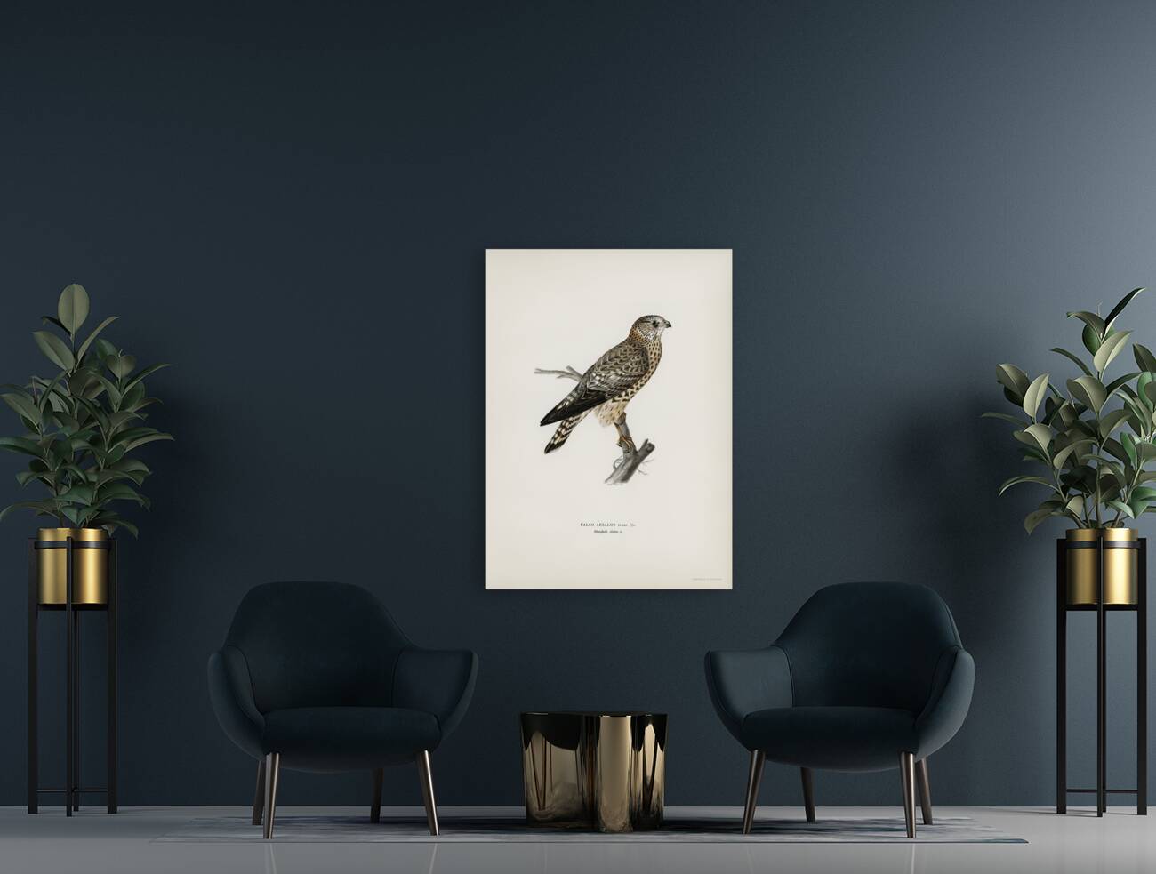 Merlin female Falco aesalon Reproduction