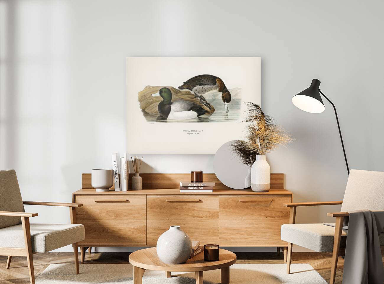 Greater Scaup Scaup Nyroca marila Reproduction