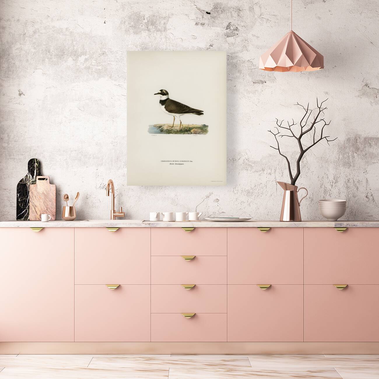 Little Ringed Plover Charadrius dubius Reproduction