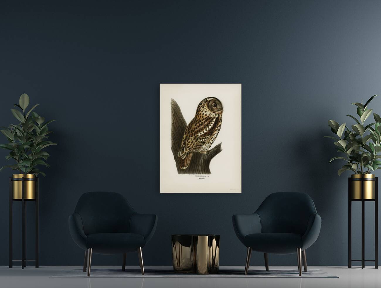 Little gull Larus minutus Reproduction