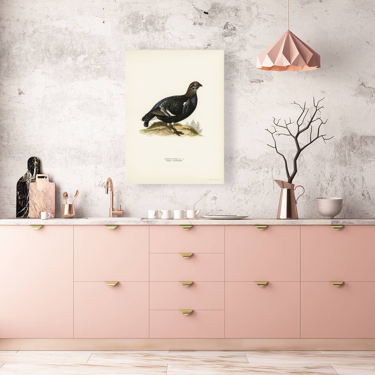 Black grouse Lyrurus Tetrix Reproduction