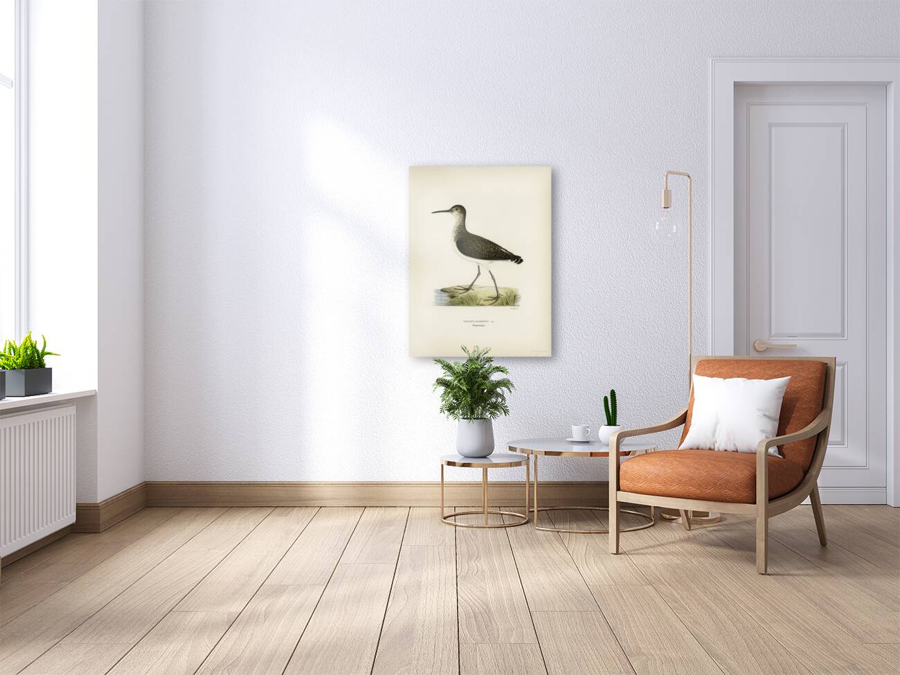 Green Sandpiper Totanus ochropus Reproduction