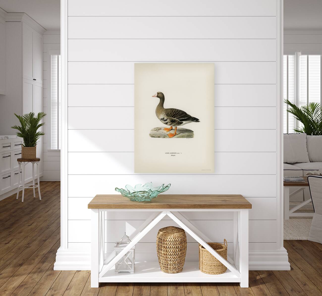 Greater White-fronted Goose Anser albifrons Reproduction