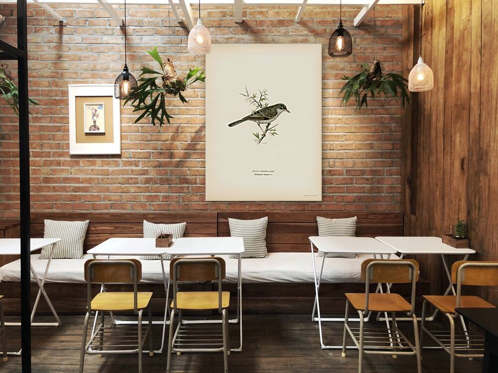 Barred warbler ♂ Sylvia nisoria Reproduction