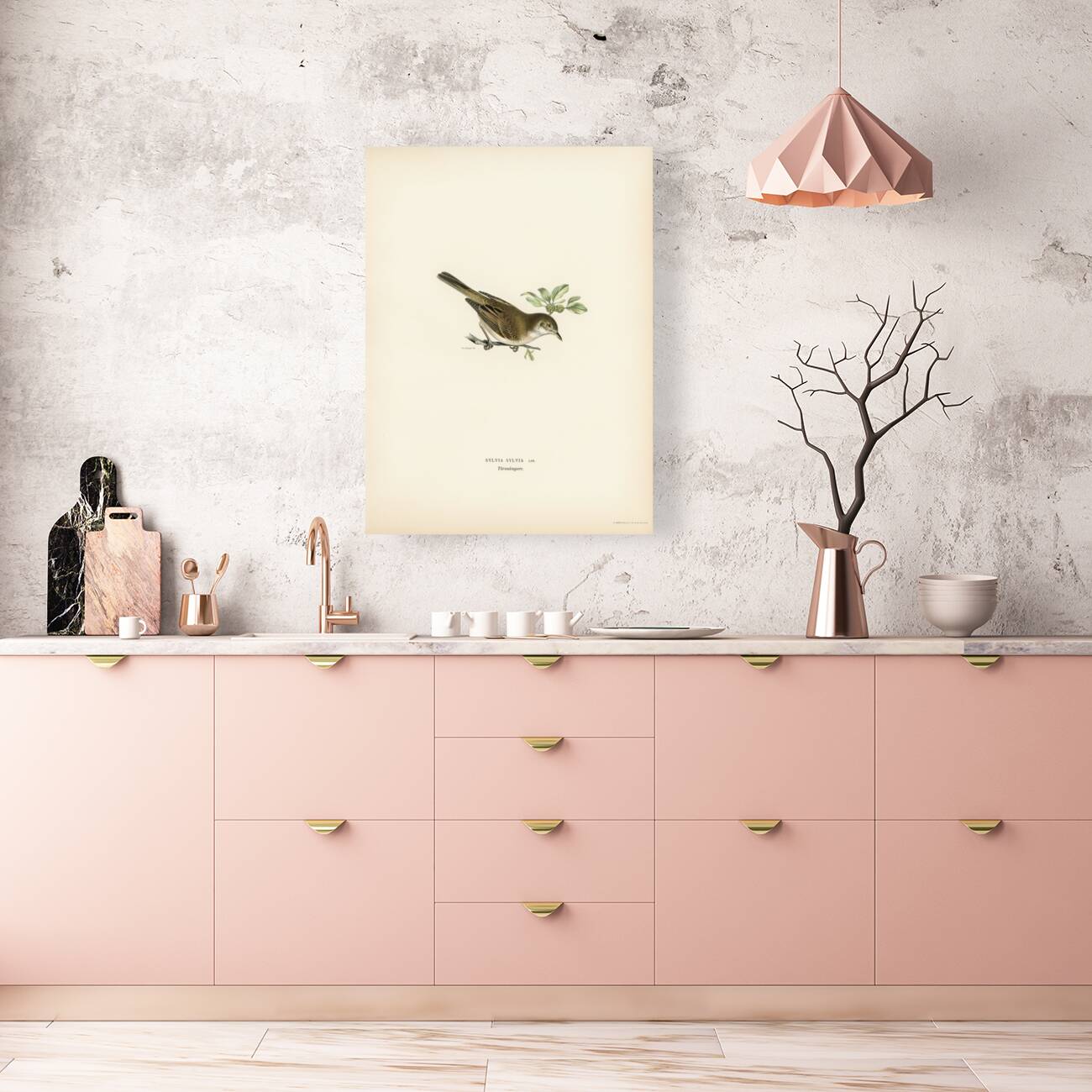 Common whitethroat Sylvia communis Reproduction