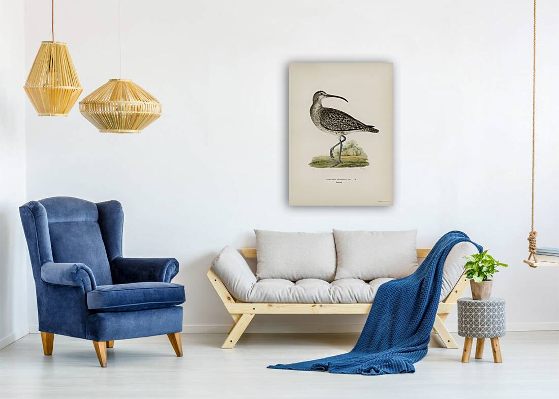 Whimbrel Numenius phaeopus Reproduction