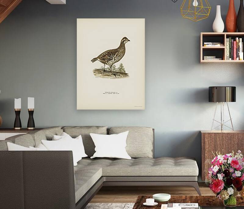 Hazel grouse tetrastes bonasia Reproduction