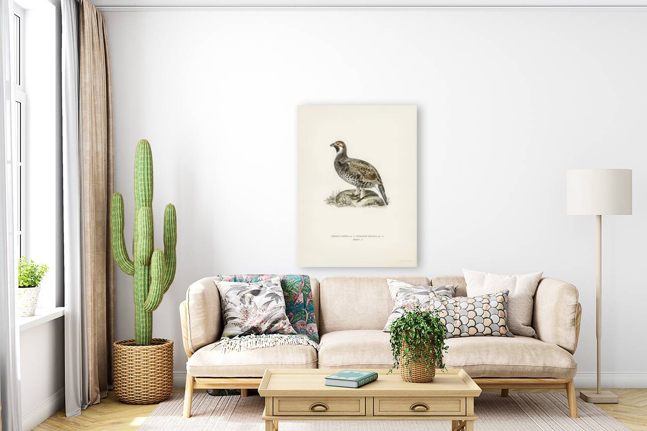 lyrurus tetrix tetrastes bonasia Reproduction