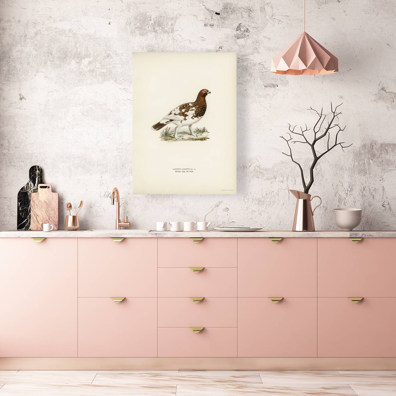 Willow ptarmigan Reproduction