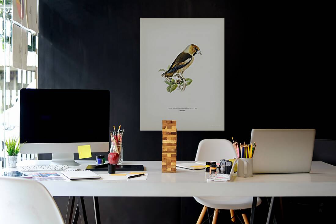 Hawfinch Coccothraustes coccothraustes Reproduction