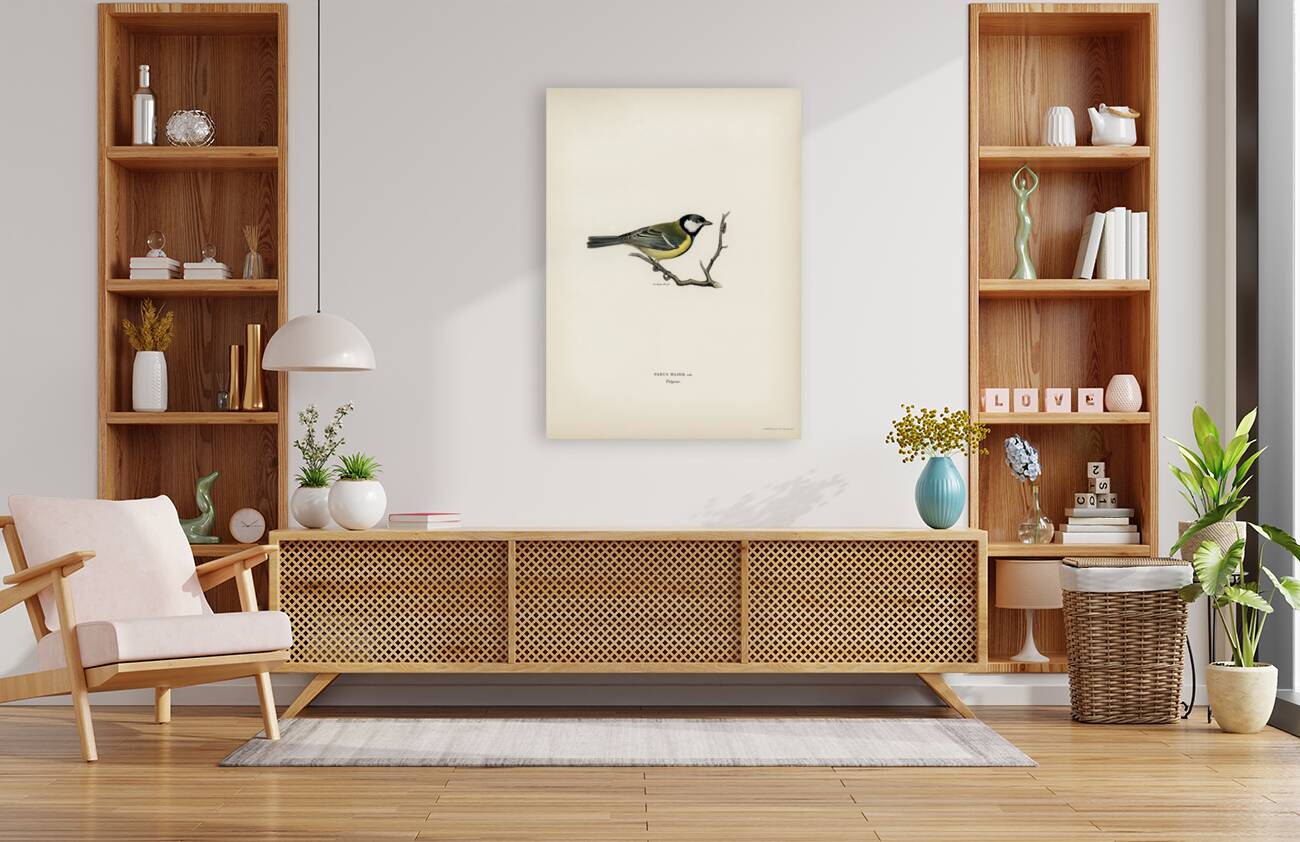 Talgoxe PARUS MAJOR LIN. Reproduction