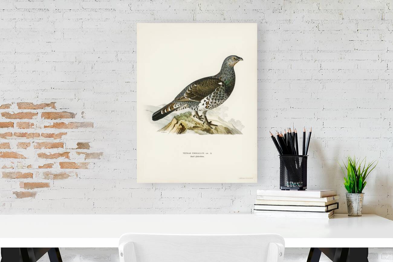 Tetrao Urogallus Reproduction