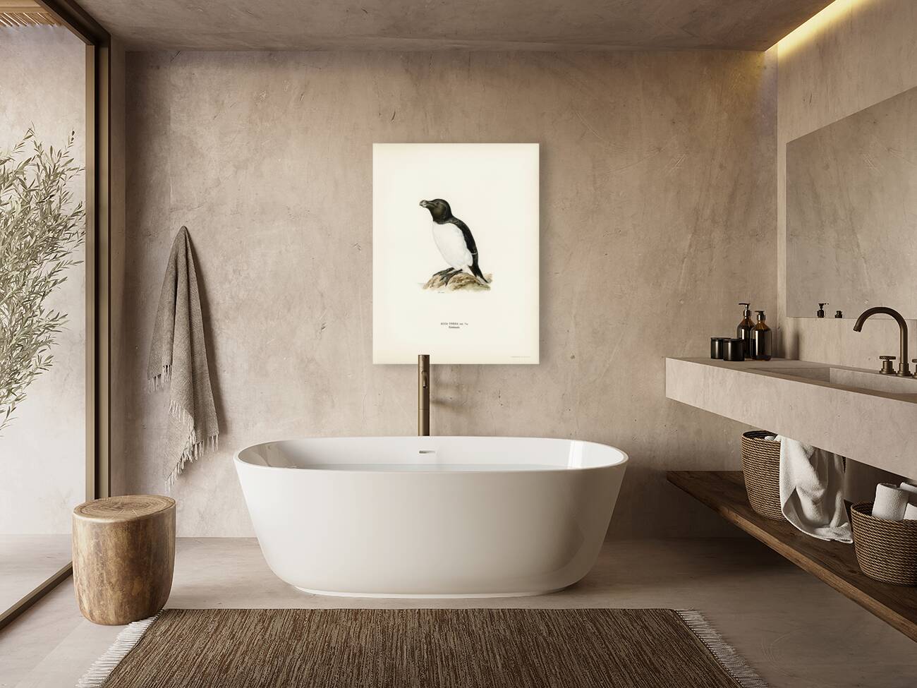 Razorbill Alca torda Reproduction