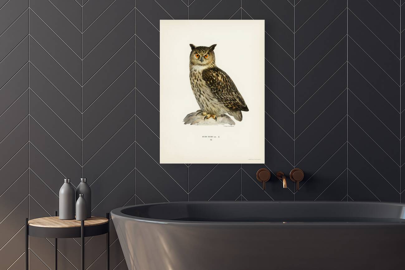 Eurasian eagle-owl BUBO BUBO Reproduction