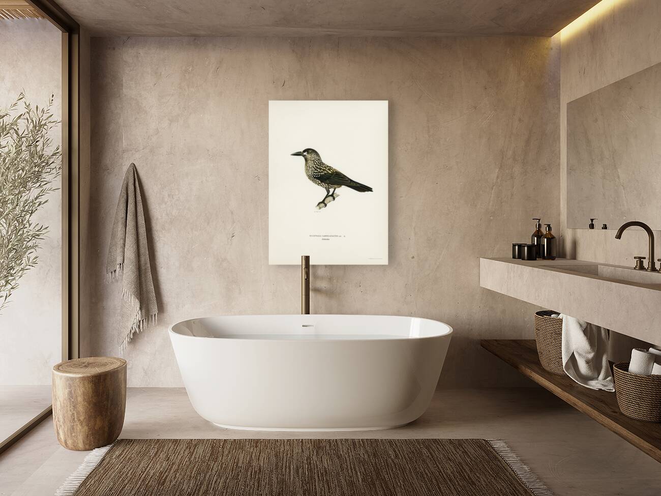 Spotted Nutcracker Nucifraga caryocatactes Reproduction