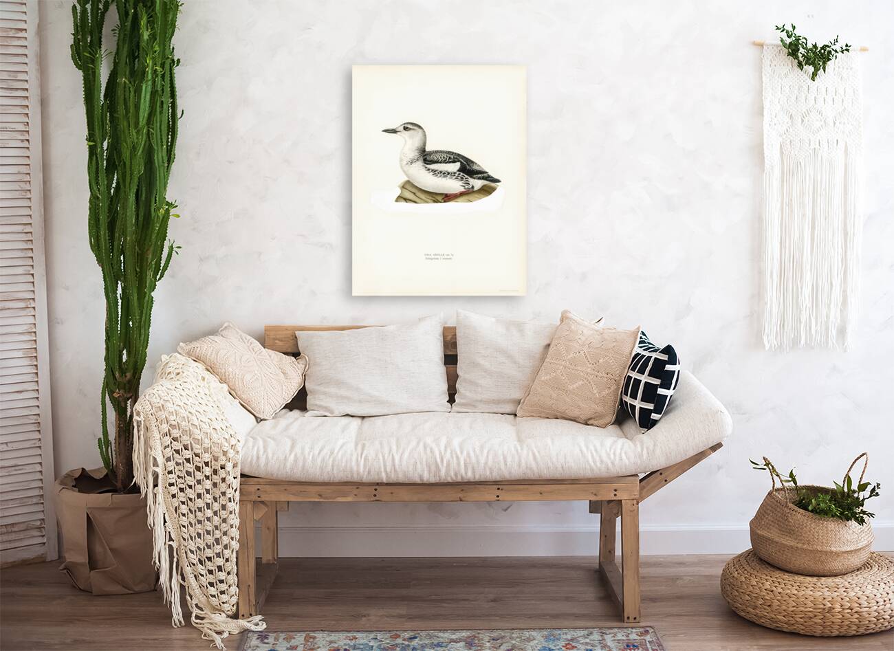 Black guillemot URIA GRYLLE Reproduction