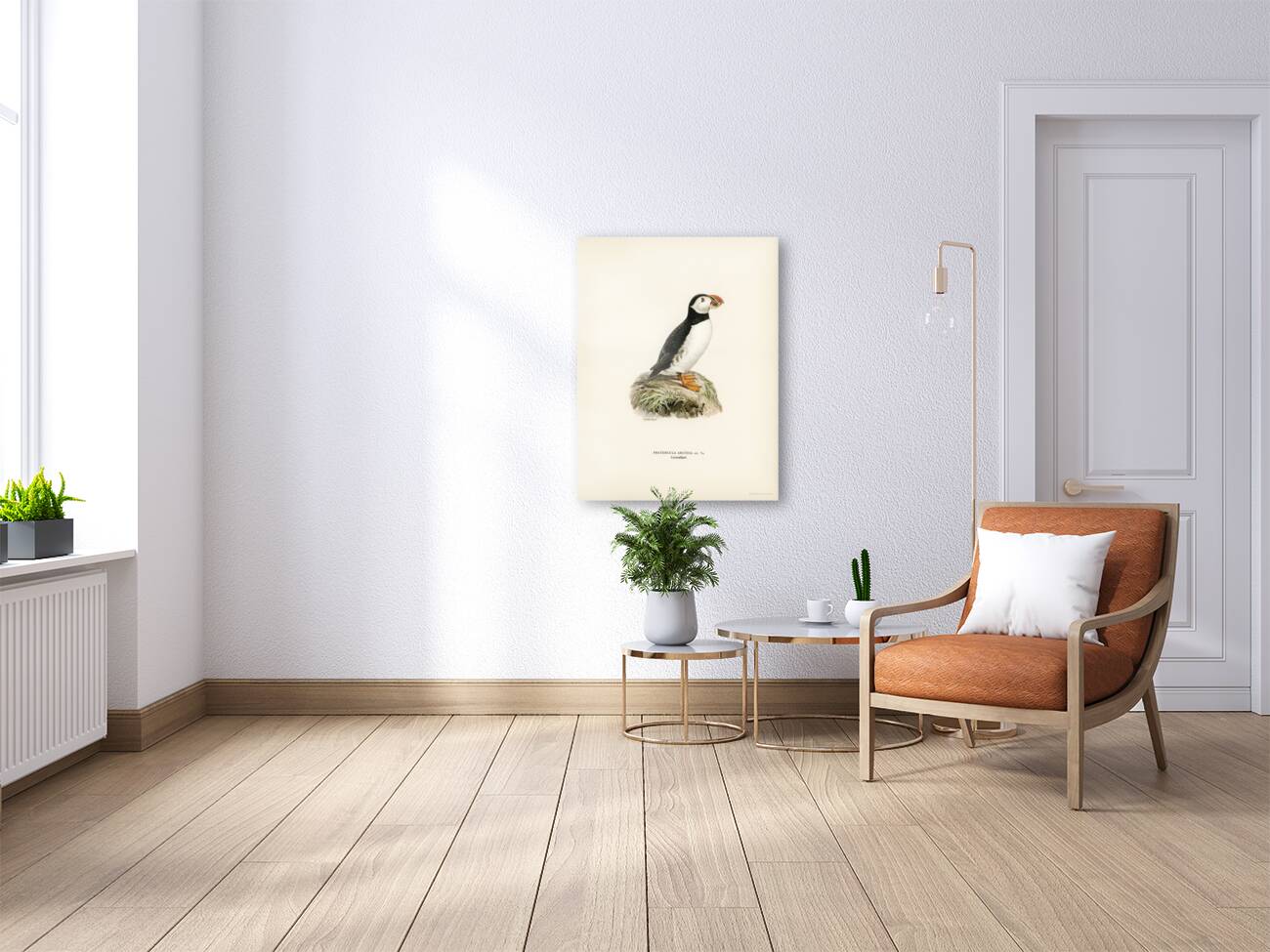 Atlantic puffin Fratercula arctica Reproduction