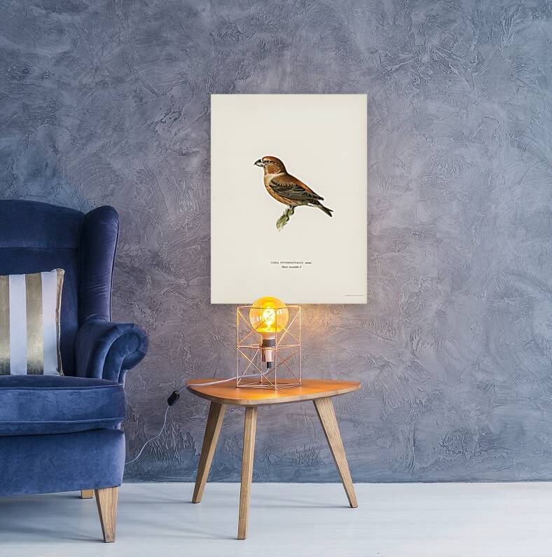 Parrot Crossbill ♂ Loxia pytyopsittacus Reproduction