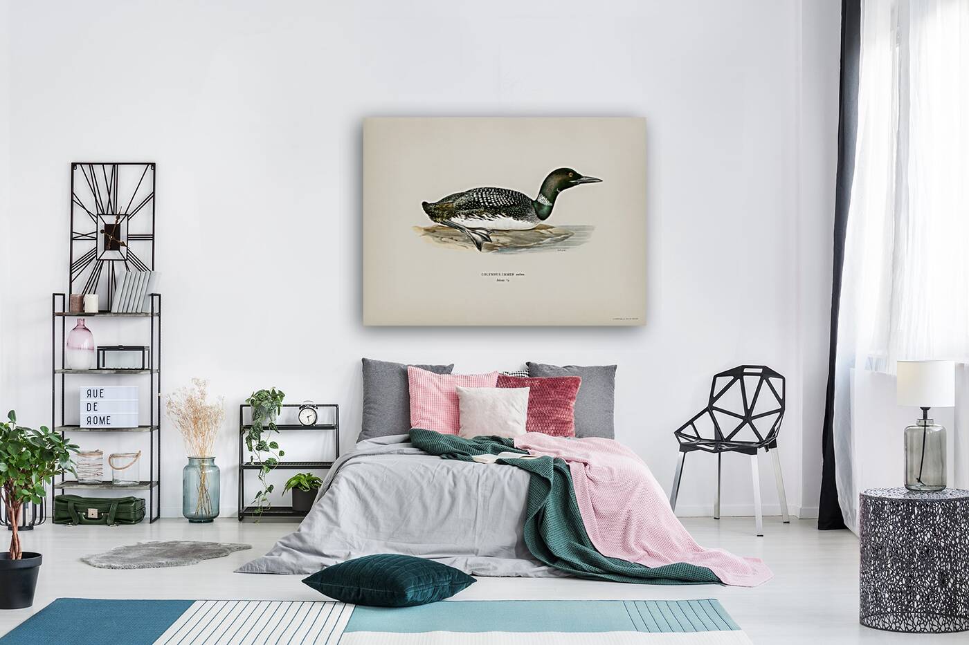 Common loon Colymbus immer Reproduction