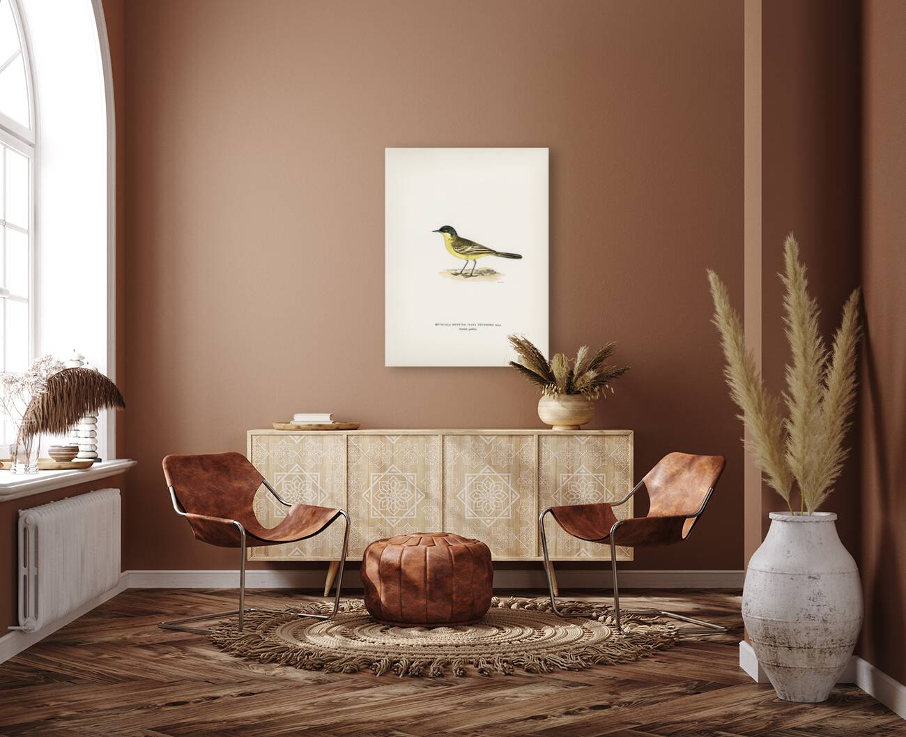 Grey-headed Wagtail MOTACILLA BUDYTES FLAVA THUNBERGI Reproduction