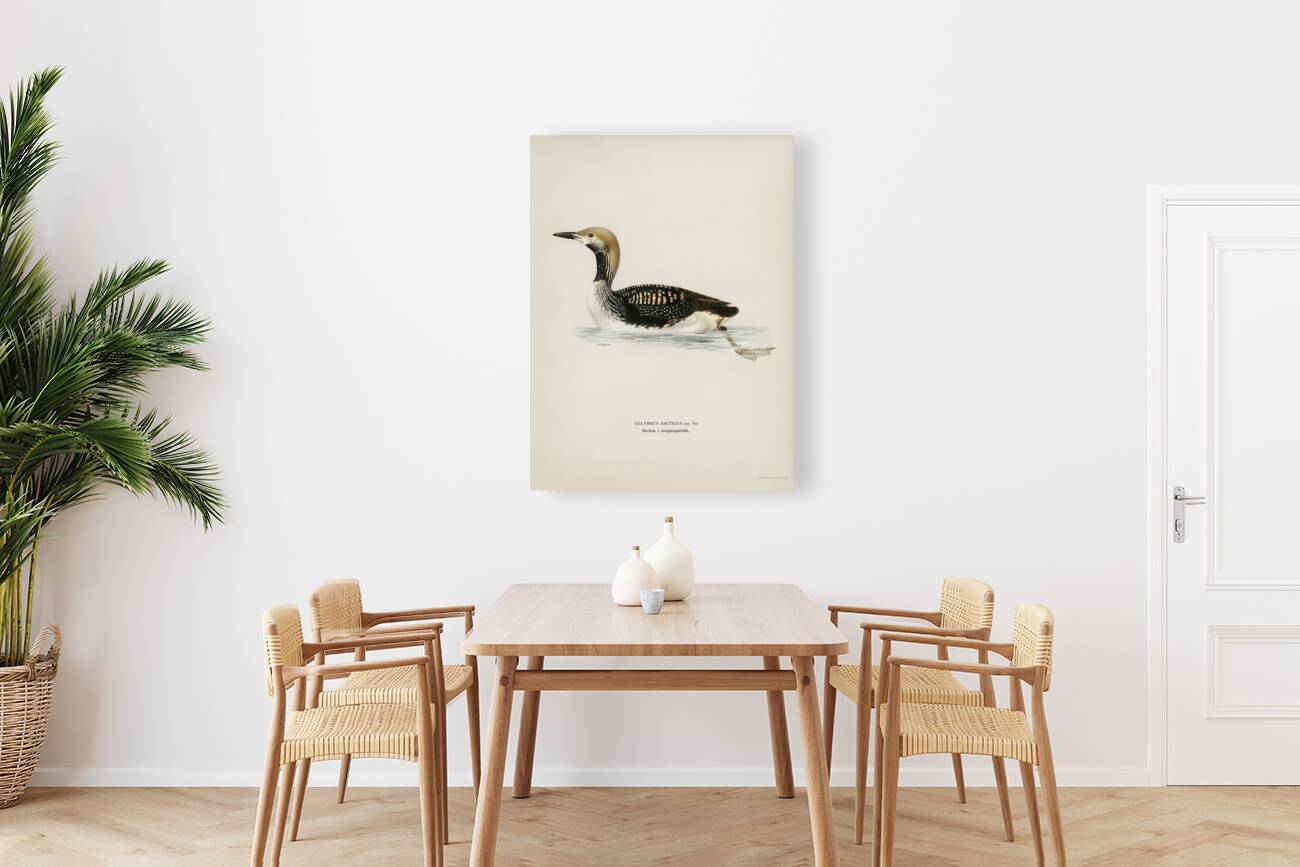 Black-throated loon Colymbus arcticus Reproduction