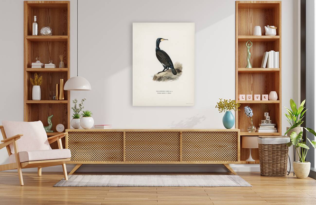 Great cormoran Phalacrocorax Carbo Reproduction