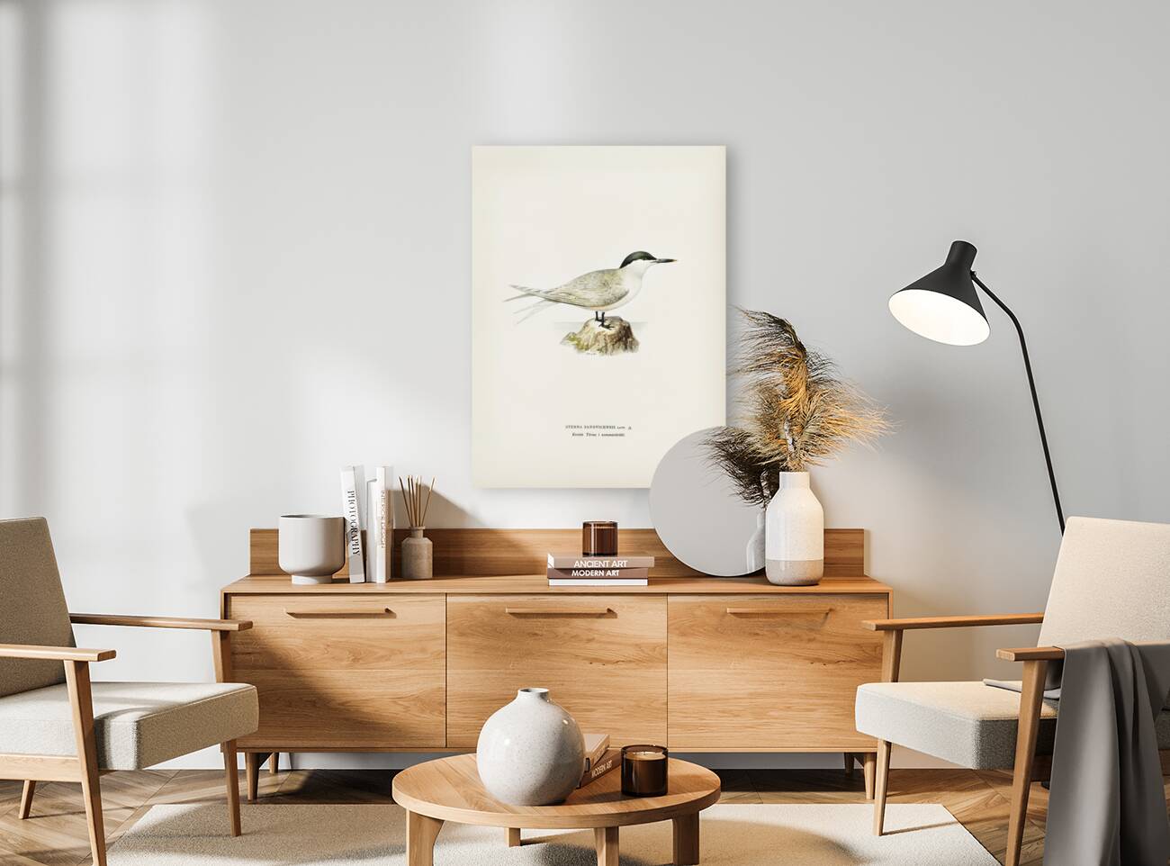 Sandwich tern Sterna sandvicensis Reproduction