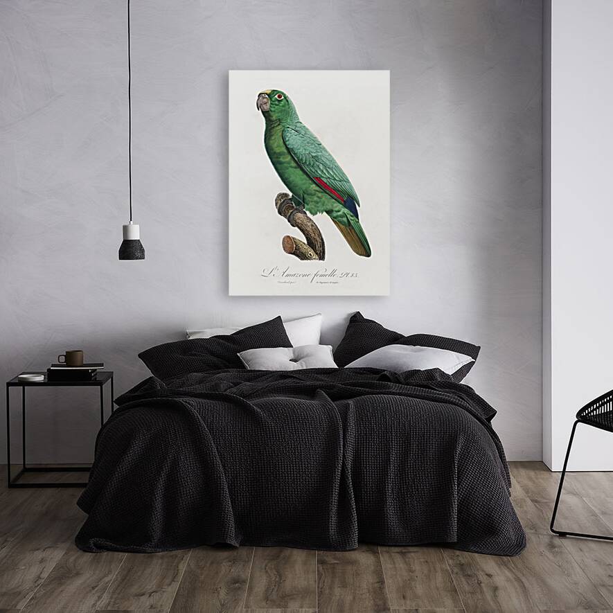 Yellow-crowned amazon Reproduction