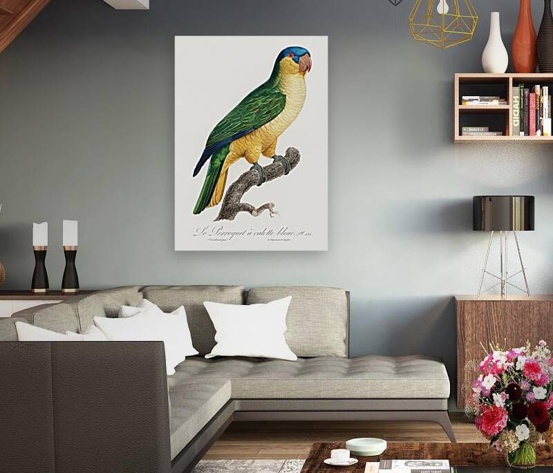 Buru green parrot  Reproduction