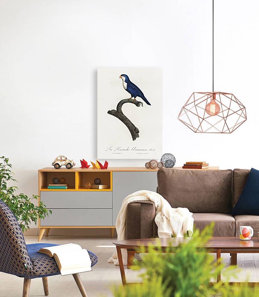 Arimanon parakeet  Reproduction