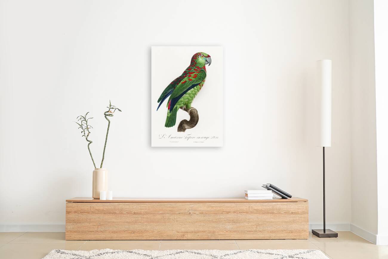 Black lory  Reproduction