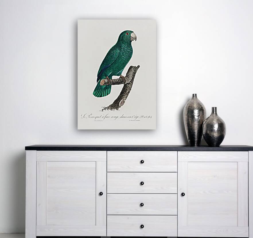 Cuban parrot  Reproduction