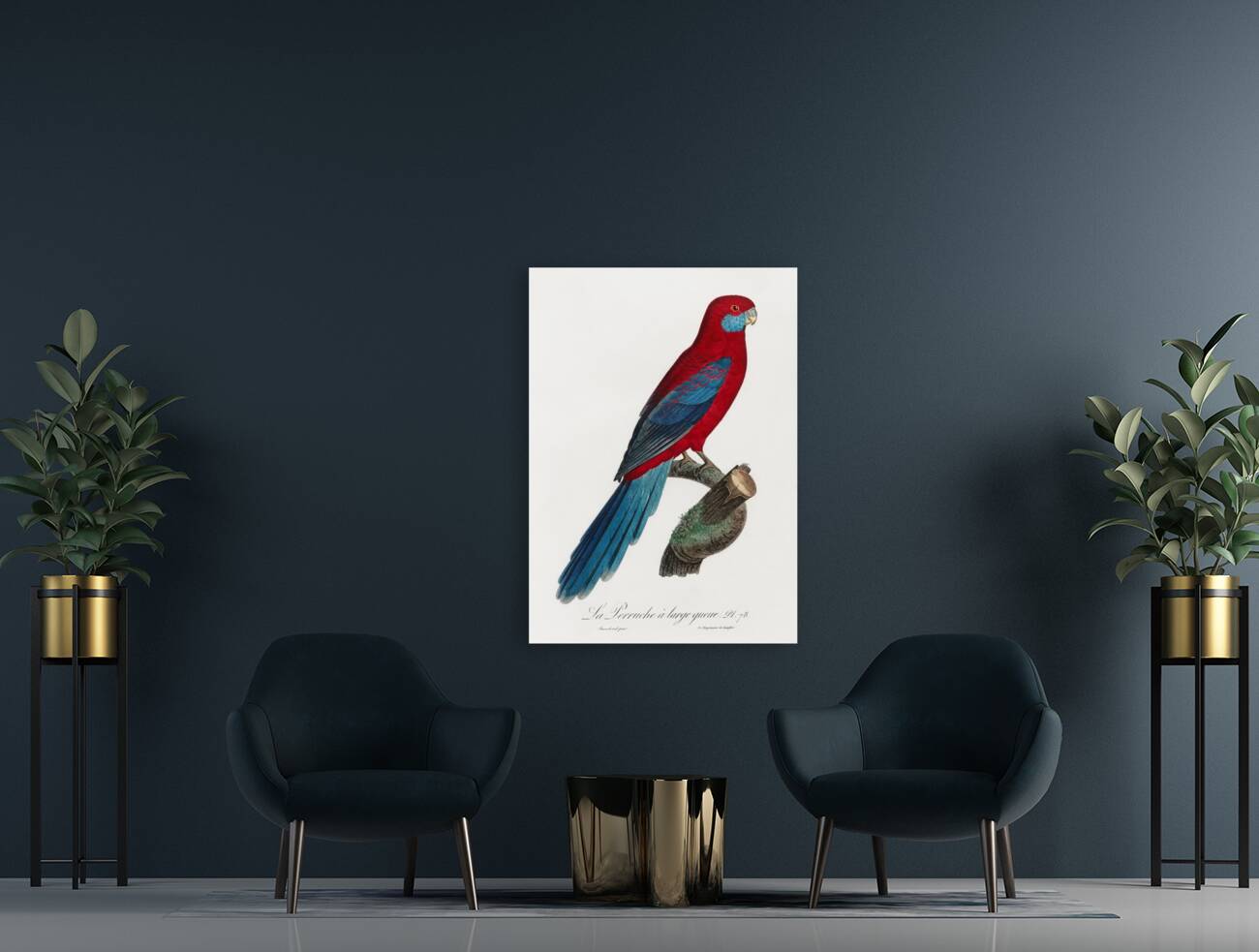 Crimson rosella  Reproduction