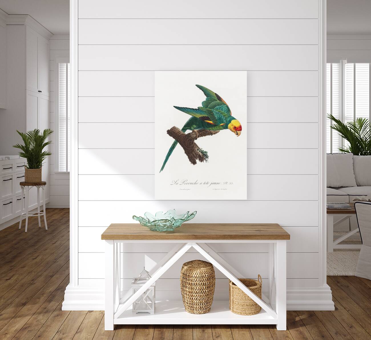 Yellow-crowned parakeet  Reproduction