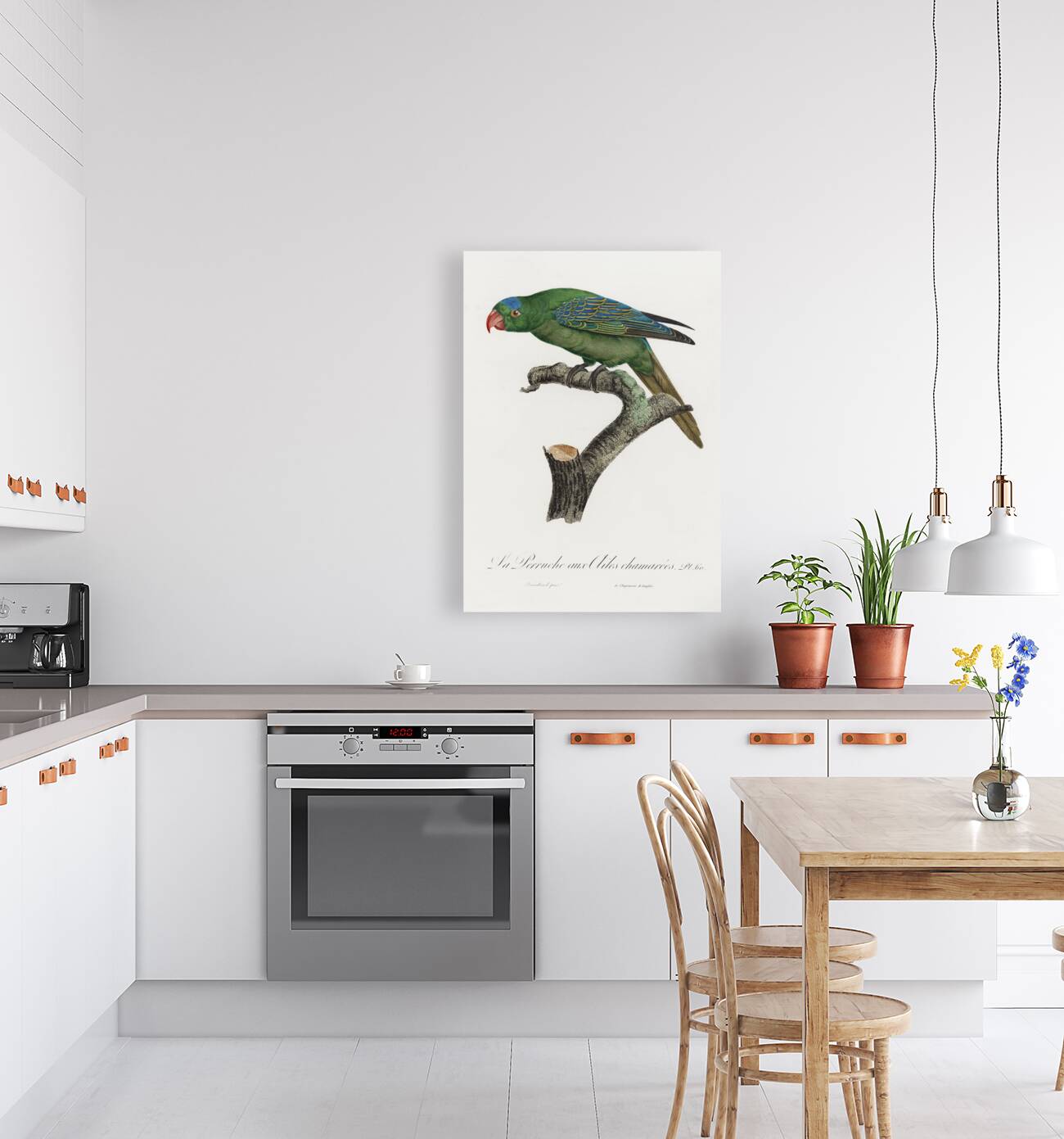 Yellow-crowned parakeet  Reproduction