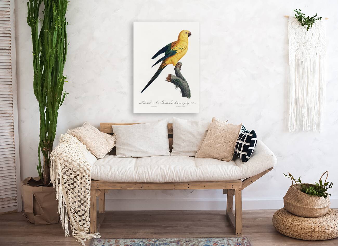 Sun parakeet  Reproduction