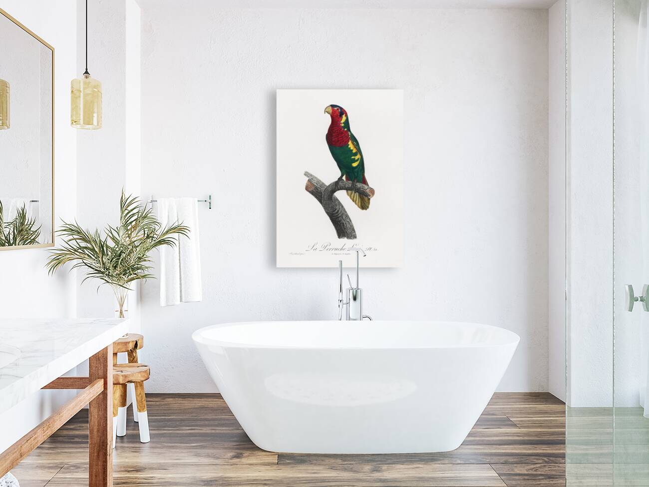 Blue-headed pied lorikeet  Reproduction