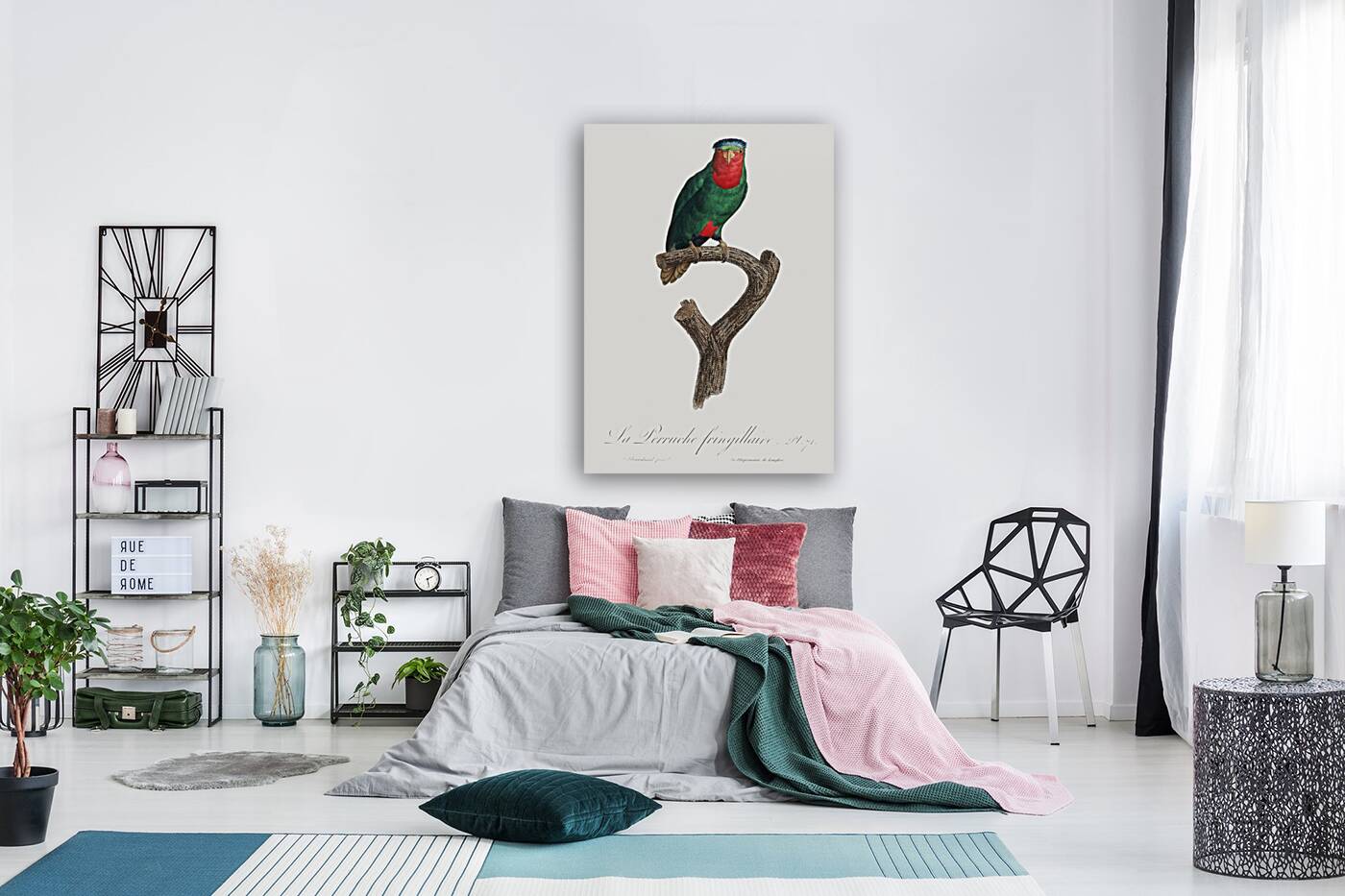 Blue-crowned lorikeet  Reproduction