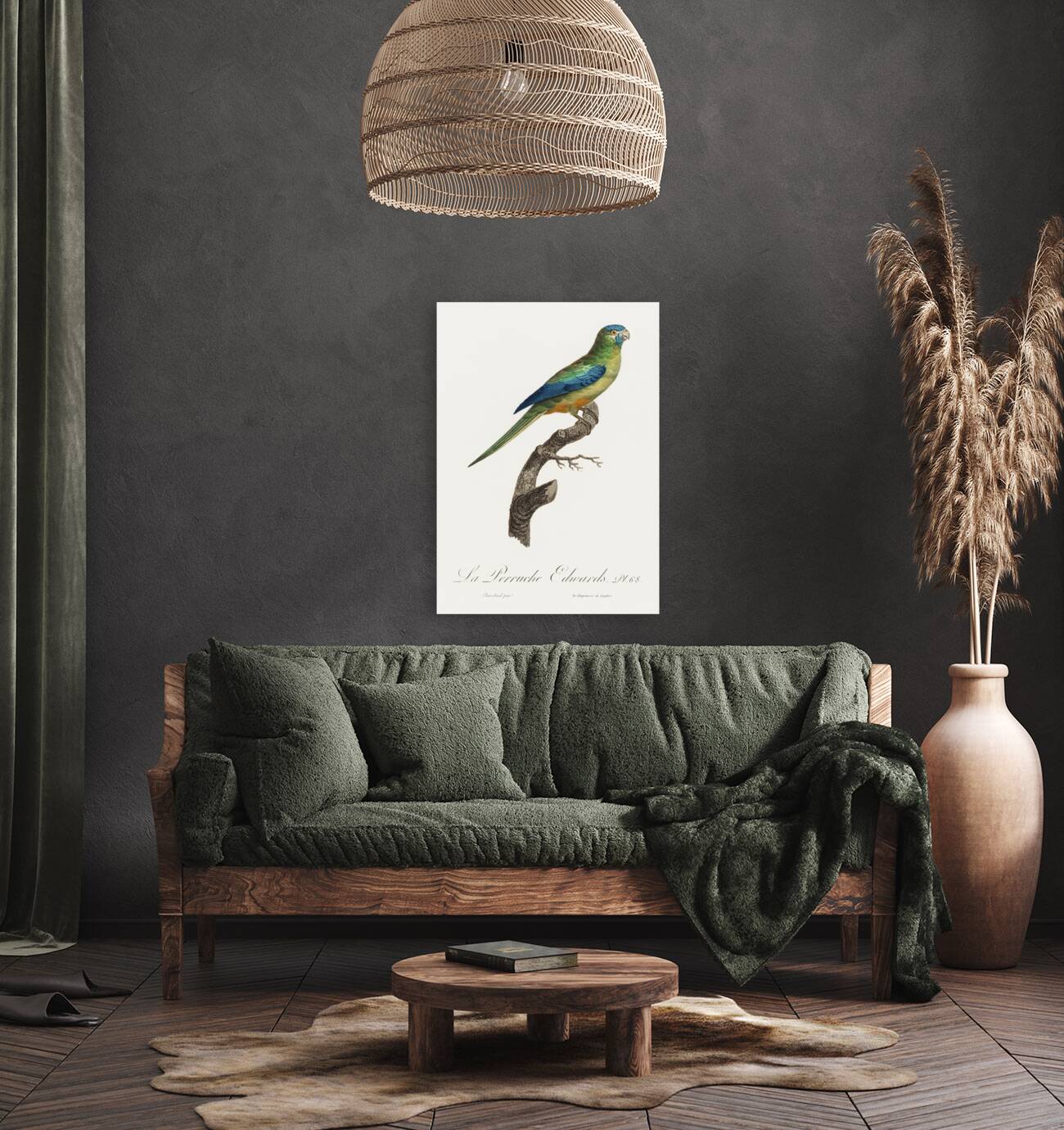 Turquoise parrot  Reproduction