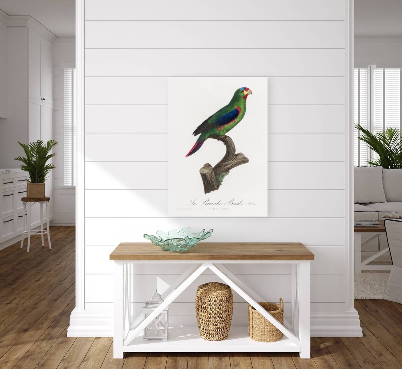 Swift parrot Reproduction