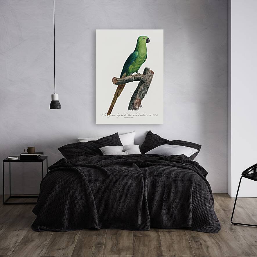 Ring-necked parakeet  Reproduction