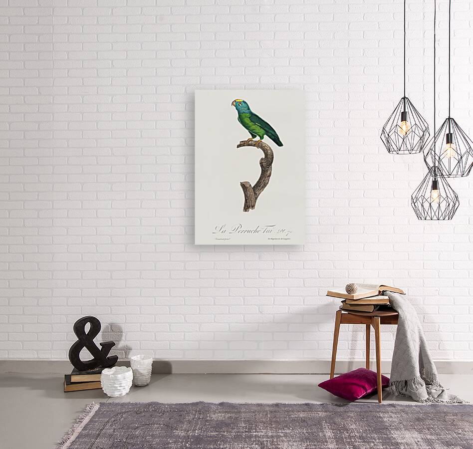 Tui parakeet  Reproduction