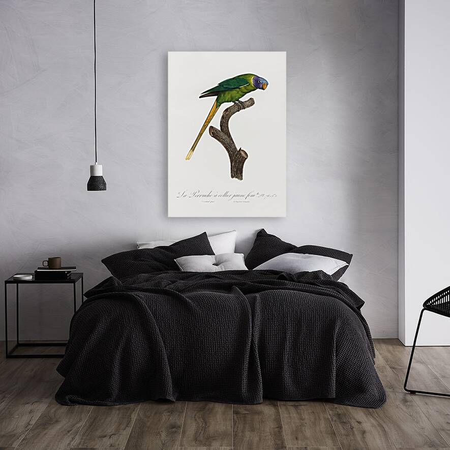 Plum-headed parakeet  Reproduction