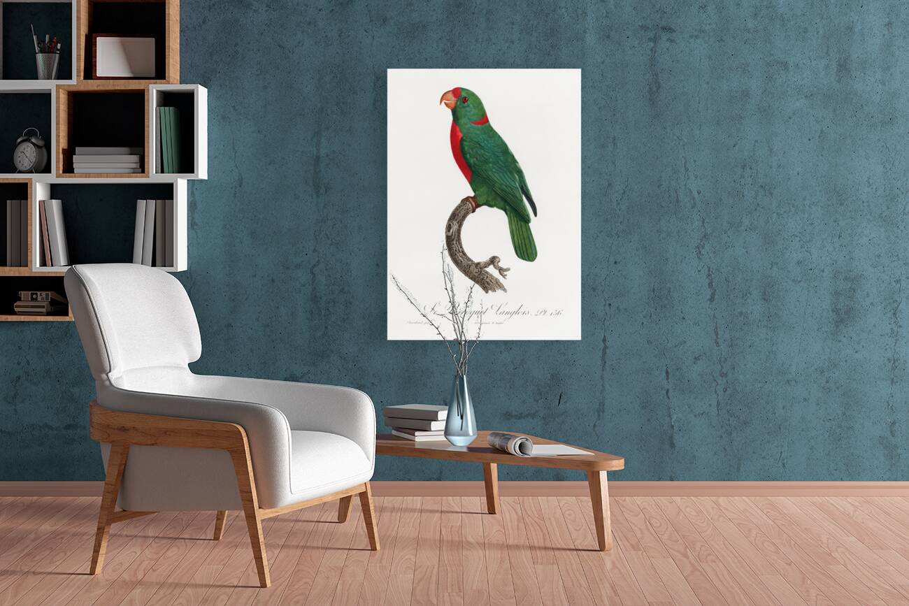 Jardines parrot  Reproduction