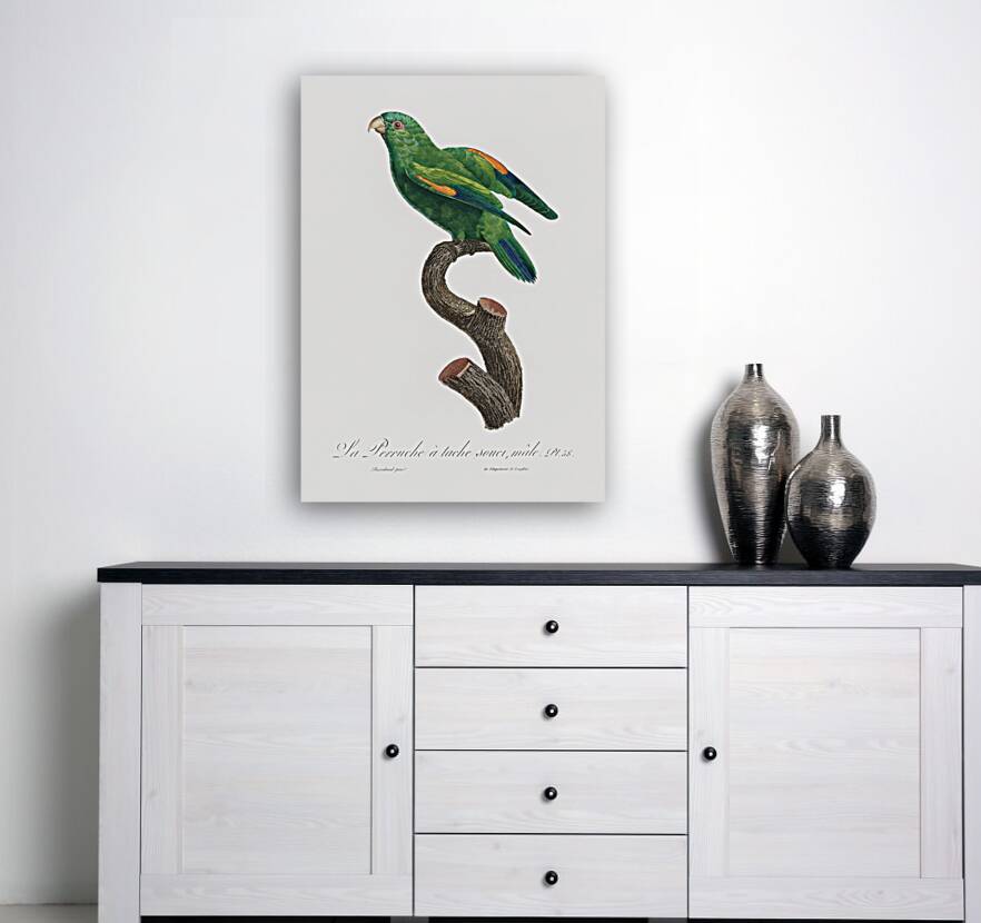 Sumba lorikeet  Reproduction