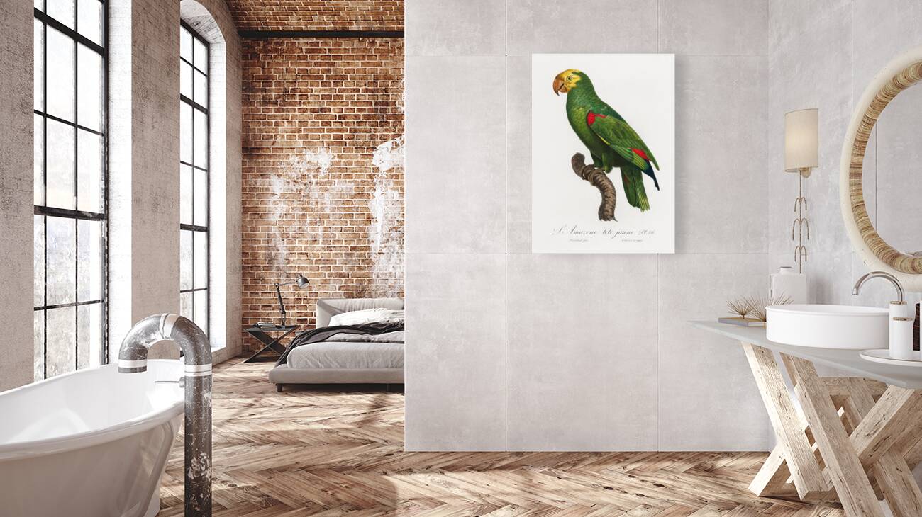 Yellow-crowned amazon  Reproduction