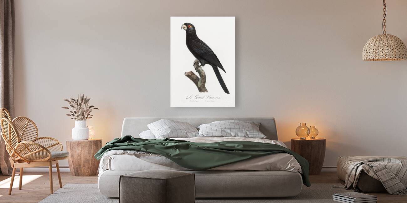 Greater vasa parrot  Reproduction