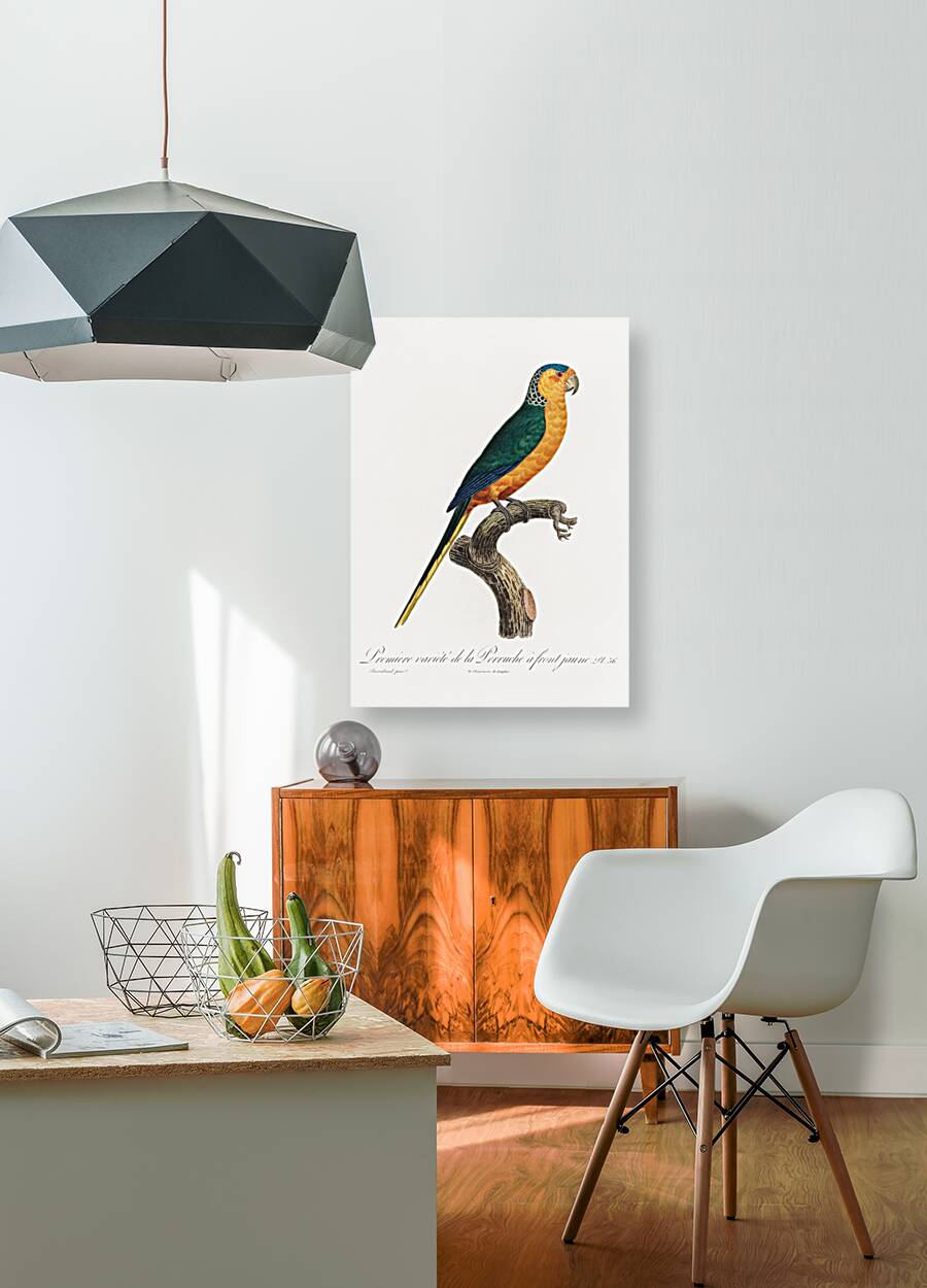 Yellow-fronted parakeet  Reproduction