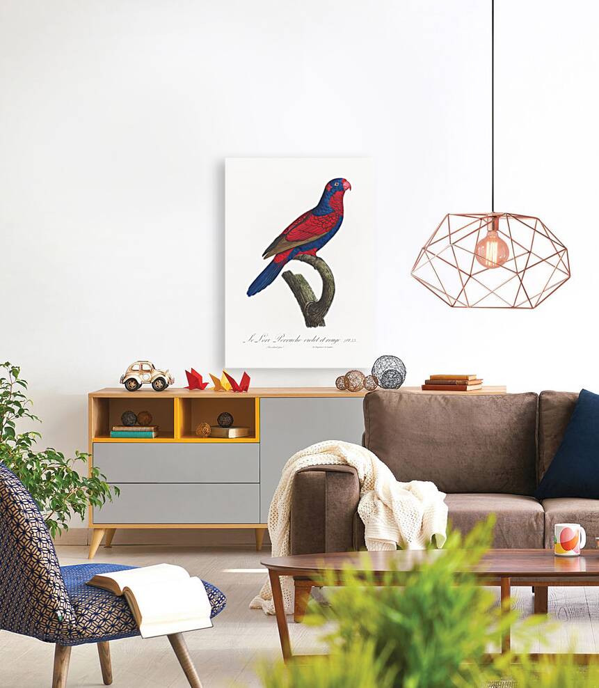 Red-and-blue lory  Reproduction