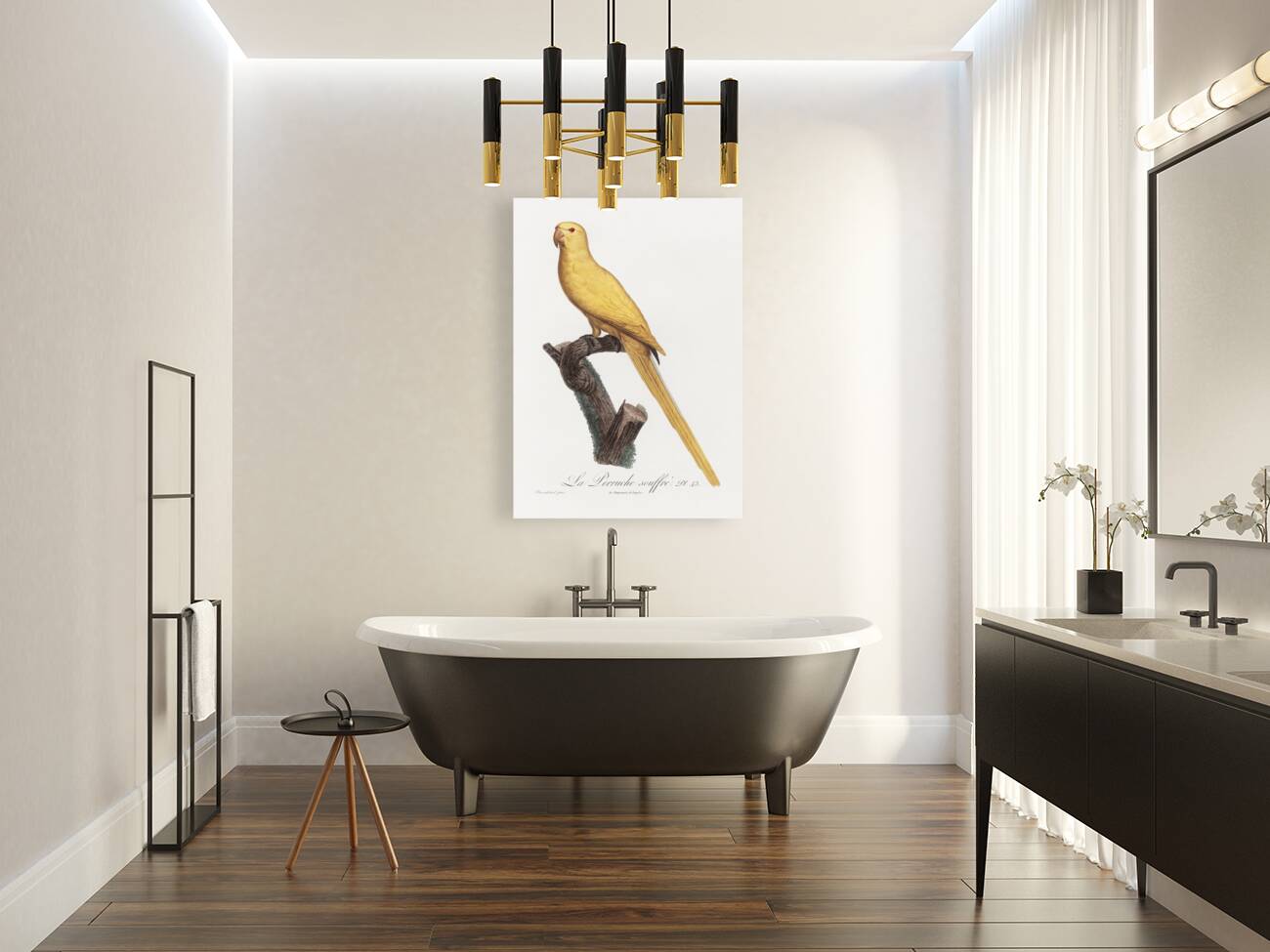 Lutino parakeet  Reproduction